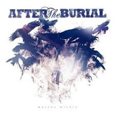 cover after the burial wolves within