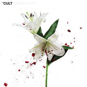 Cult cover