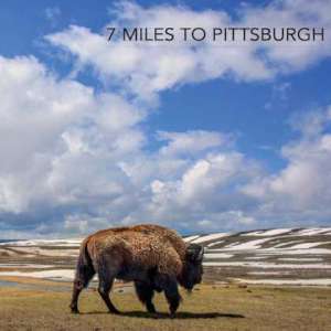 7 Miles To Pittsburg - 7 Miles To Pittsburgh cover