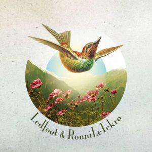 Ledfoot & Ronni Le Tekrø - A Death Divine cover